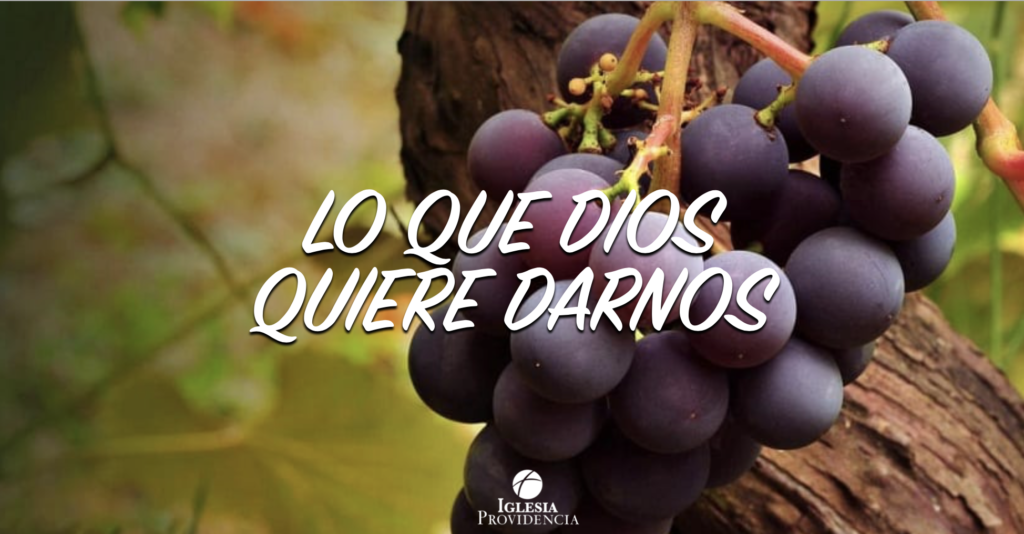 Lo que Dios quiere de nosotros - Iglesia Providencia